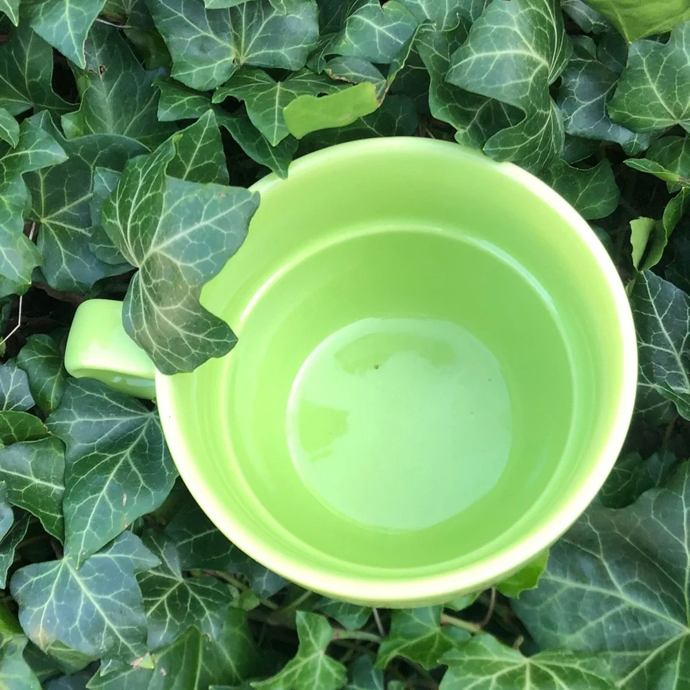 Pier 1 vibrant lime